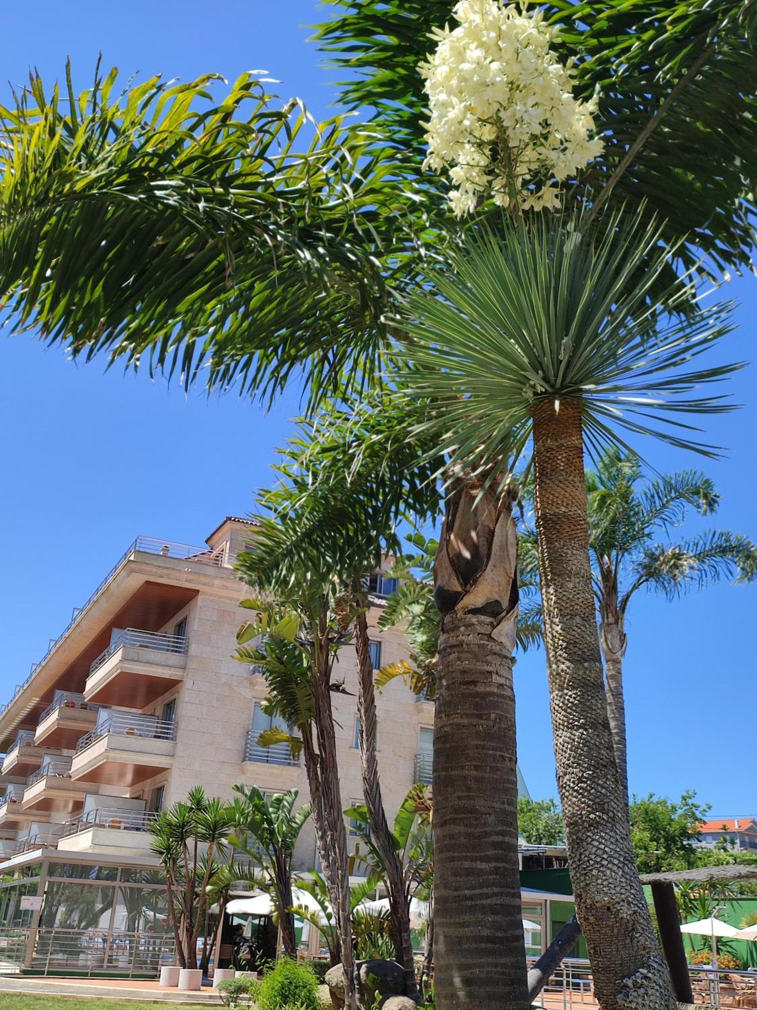 מונטאלבו Apartamentos Marsil מראה חיצוני תמונה